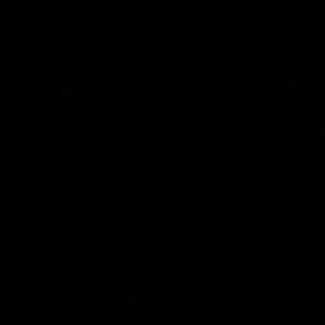 Meet your Posher, Nora